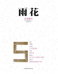 雨花2017年5期