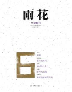 雨花2017年6期