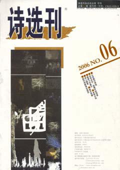 诗选刊2006年6期