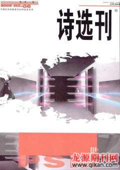 诗选刊2009年6期