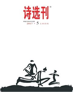 诗选刊2017年5期