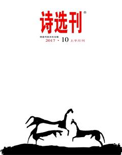 诗选刊2017年10期