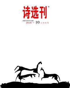 诗选刊2018年10期