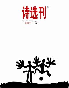 诗选刊2019年2期