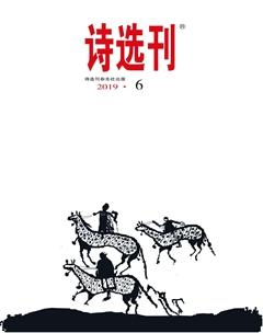 诗选刊2019年6期