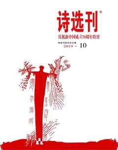 诗选刊2019年10期