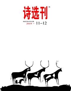 诗选刊2019年12期