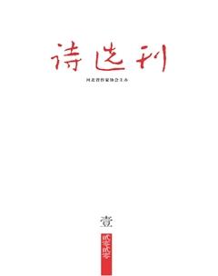 诗选刊2020年1期