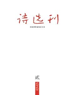 诗选刊2020年2期