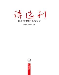 诗选刊2020年3期