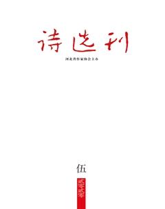 诗选刊2020年5期
