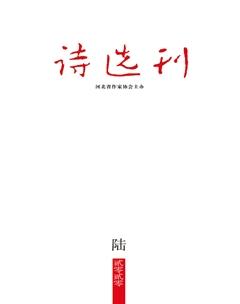 诗选刊2020年6期