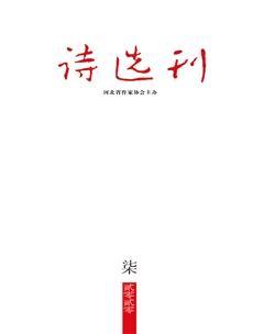 诗选刊2020年7期