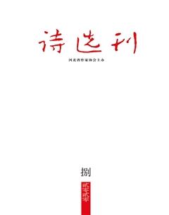 诗选刊2020年8期