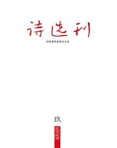 诗选刊2020年9期