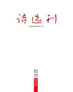诗选刊2020年11期