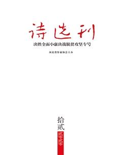 诗选刊2020年12期