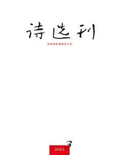 诗选刊2021年3期