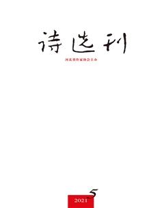 诗选刊2021年5期