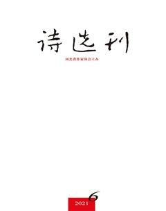 诗选刊2021年6期
