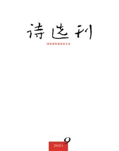 诗选刊2021年9期