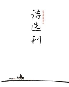 诗选刊2022年1期