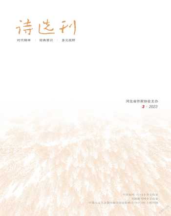 诗选刊2023年3期