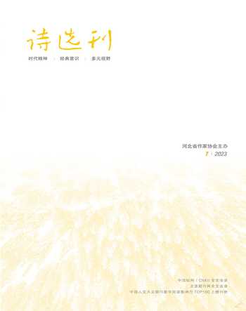 诗选刊2023年7期
