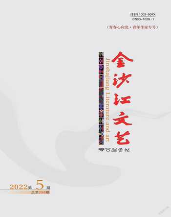 金沙江文艺2022年5期