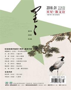 星星·散文诗2018年1期