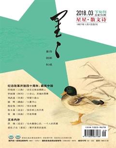 星星·散文诗2018年3期