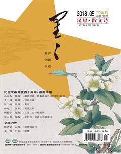 星星·散文诗2018年5期