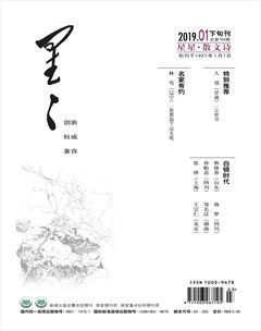 星星·散文诗2019年1期