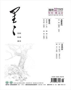 星星·散文诗2019年2期
