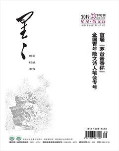星星·散文诗2019年3期