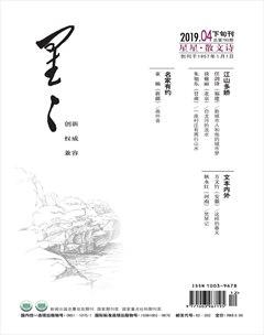 星星·散文诗2019年4期