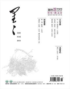 星星·散文诗2019年5期