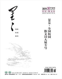 星星·散文诗2019年6期