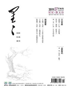 星星·散文诗2019年7期