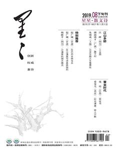 星星·散文诗2019年8期