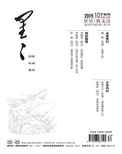 星星·散文诗2019年10期