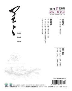 星星·散文诗2019年11期