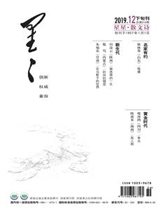 星星·散文诗2019年12期