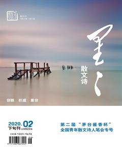 星星·散文诗2020年2期
