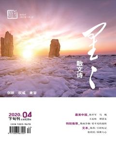 星星·散文诗2020年4期