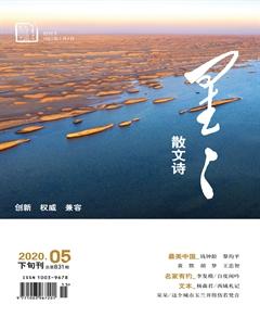 星星·散文诗2020年5期