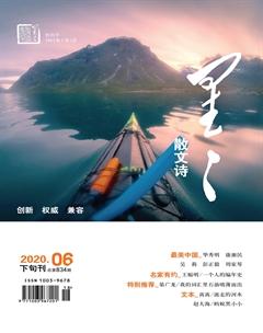 星星·散文诗2020年6期