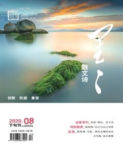 星星·散文诗2020年8期