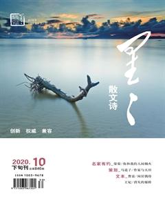星星·散文诗2020年10期