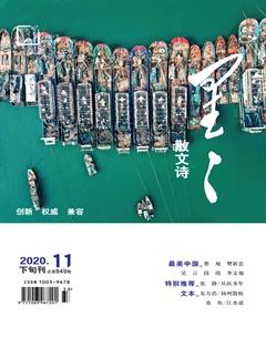 星星·散文诗2020年11期